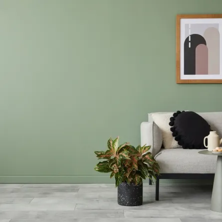 الأخضر يعتبر من ألوان الطبيعة الجذابة 