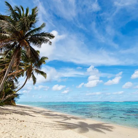 نصائح عند زيارة الشواطئ 