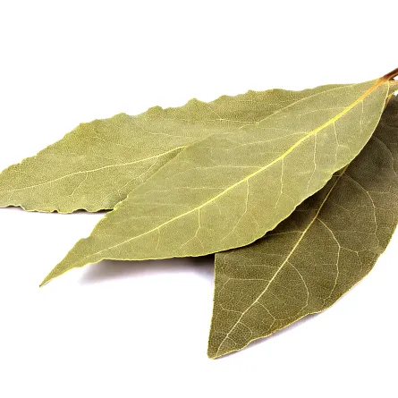 استخدام ورق الغار في المنزل