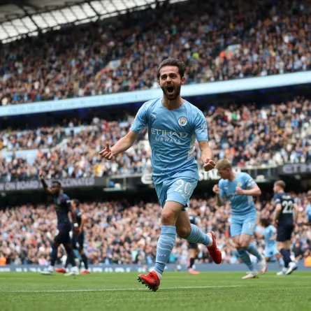 برناردو سيلفا