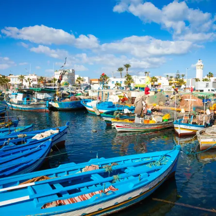 السياحة في تونس 