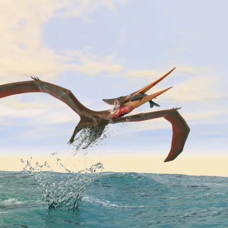 اكتشاف أقدم طائر في العالم