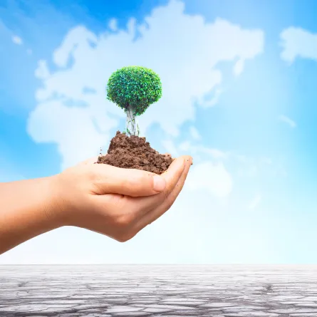 اليوم العالمي لمكافحة التصحر والجفاف 