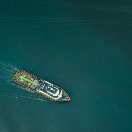 تائه في المحيط منذ 33 يوماً ينجو من أنياب قرش