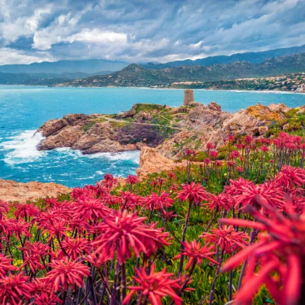 متعة السياحة في جزيرة كورسيكا  