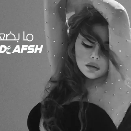 بوستر أغنية "ما بضعفش" - الصورة من الحساب الخاص لـ هيفاء وهبي على إنستغرام