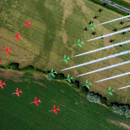 الصقور السعودية