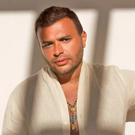 رامي صبري - الصورة من صفحته الرسمية على الفيس بوك