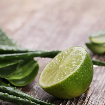 الصبار علاج للقشرة- المصدر freepik