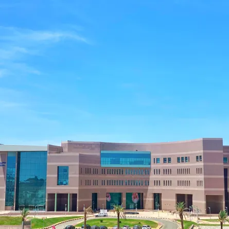 جامعة الباحة