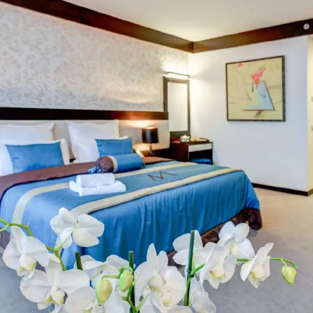 فندق ملاك ريجينسي