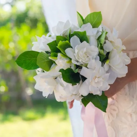 صورة تعبيرية للزفاف- الصورة من موقع Shutterstock