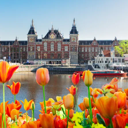 التخطيط للسفر إلى أمستردام
