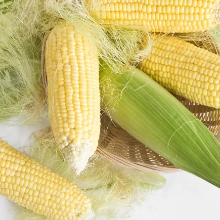 فوائد شعر الذرة للنساء (المصدر: Shutterstock)