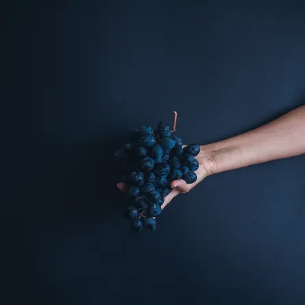 pexels- يحتوي العنب على مادة "الميلاتونين" والتي تعالج اضطرابات النوم