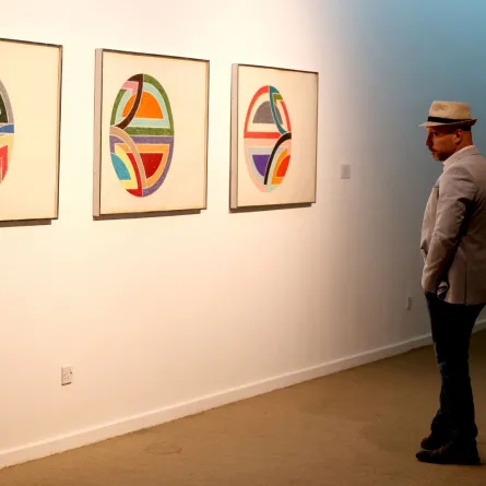 فن الميناليزم