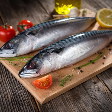 فوائد سمك الإسقمري مُذهلة.. أضيفيه إلى نظامكِ الغذائي الصحي (المصدر: Adobe.Stock)