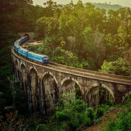 قطار يتجه إلى بلدة إيلا في سريلانكا