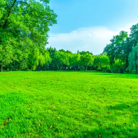 المتنزهات الطبيعية 