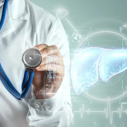 المزيل الطبيعي للسموم من الجسم تحسين وظائف الكبد وصحة الغدة الدرقية