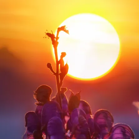 أكثر مكان مشمس في الأرض