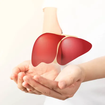 اليوم العالمي لالتهاب الكبد.. يوم التوعية بالصحة العامة - Shutterstock