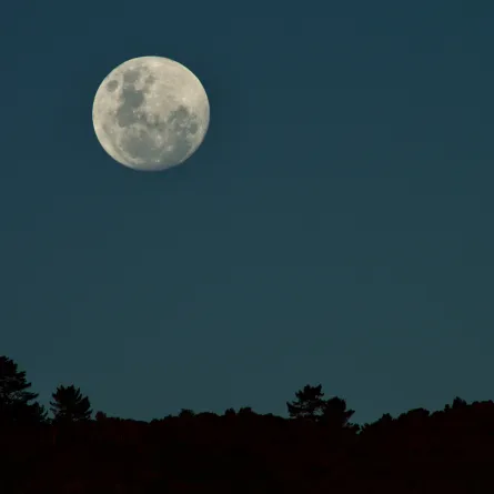 سيصبح قريبا جدا من الأرض.. القمر العملاق يزين سماء الوطن العربي غدا - الصورة من pexels by tony fisher