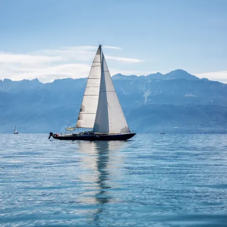 إنقاذ بحار وكلبه