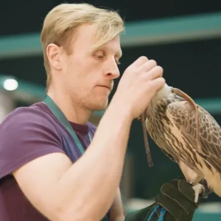 لأول مرة.. مشاركة مميزة لمزارع الصقور الهولندية في المزاد الدولي للصقور بالرياض 2023 - الصورة من حساب نادي الصقور السعودي على منصة إكس "تويتر سابقا"