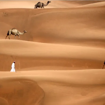 انطلاق مهرجان الظفرة 21 أكتوبر المقبل لعام 2023 - الصورة من مكتب أبوظبي الإعلامي