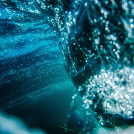 تيارات المحيطات مهددة بالانهيار الذي "سيؤثر على كل شخص على هذا الكوكب''