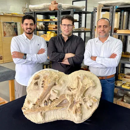 مصر تعلن اكتشاف أحد أقدم الحيتان في إفريقيا - AFP PHOTO / HO / AMERICAN UNIVERSITY IN CAIRO (AUC)