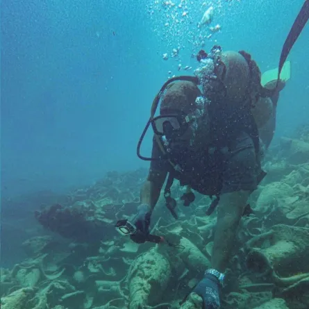 كشف أثري جديد بمياه العلمين 