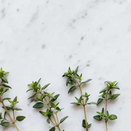 فوائد الزعتر الصحية مذهلة (المصدر: Pexels)