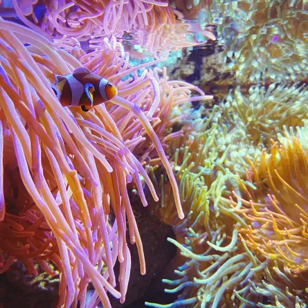 اكتشاف نظام بيئي جديد مزدهر تحت قاع المحيط