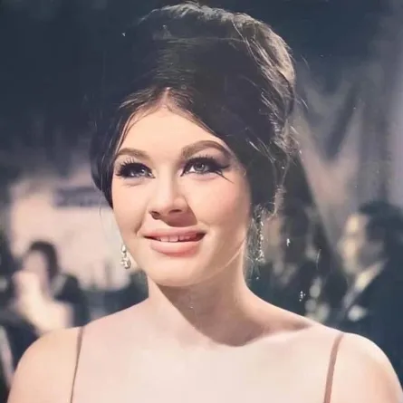 شويكار - الصورة من أرشيف المحرر