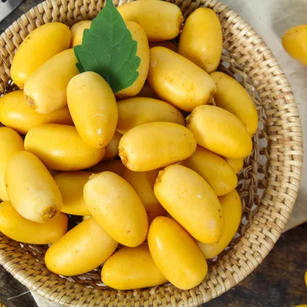 فوائد البلح الأصفر على الريق (المصدر: Shutterstock)