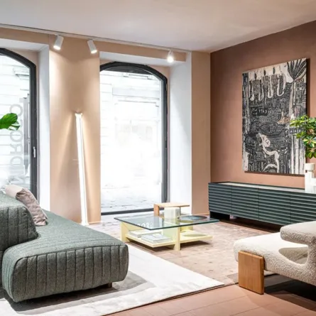 النباتات المنزلية مفضلة في المساحات السكنية والعملية