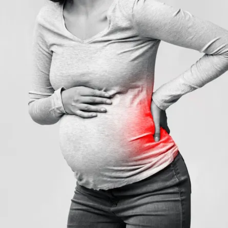 صورة لآلام الحمل