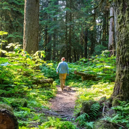 شاب أمريكى يصطاد ثعباناً وزنه 45 كيلو وطوله 4.5 متر