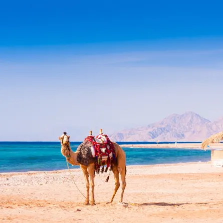 متعة السياحة في مصر 