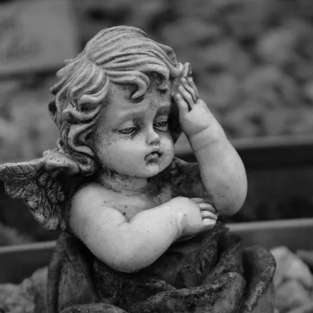  pexels-mario-wallner الصورة من