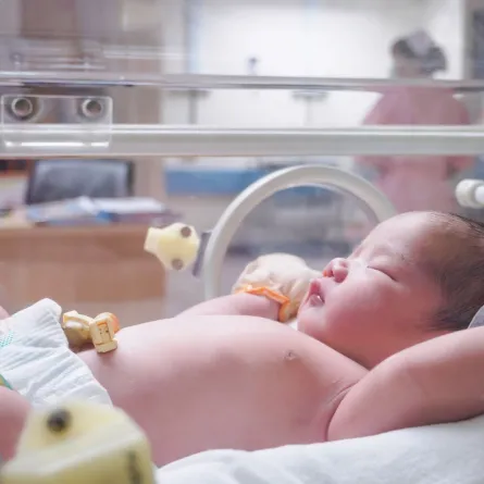 صورة لطفل حديث الولادة