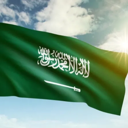 غرفة القصيم تطلق برنامج تأهيل مستفيدات الضمان للعمل الحر - الصورة من shutterstock