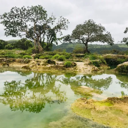 ضمن فعاليات خريف ظفار.. "عودة الماضي" تثري التجربة السياحية في سلطنة عمان