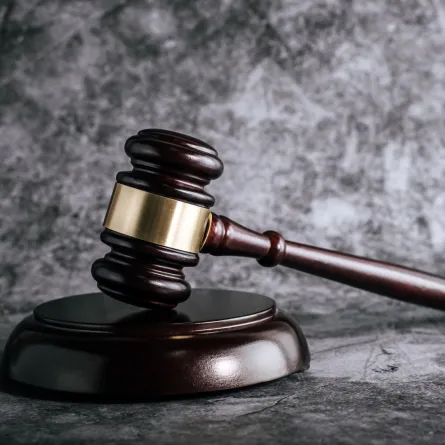 يوم القانون