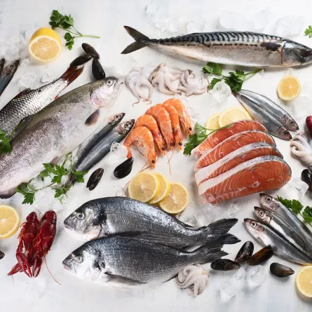 صورة لأنواع مختلفة من الأسماك