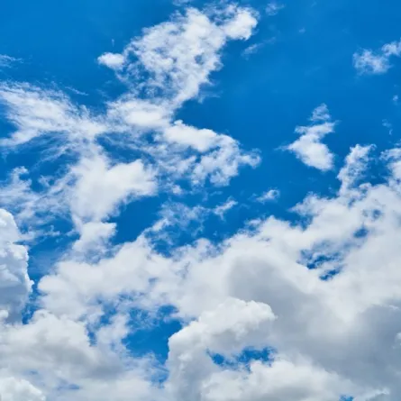 اليوم الدولي لنقاوة الهواء تحت شعار" لنشارك جهودنا جميعا لنعمل معا علي تنقية الهواء " 