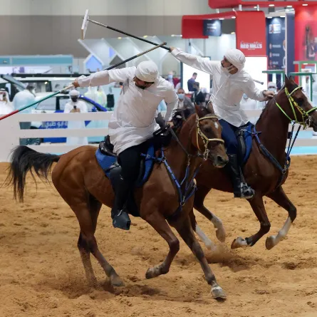 انطلاق معرض الصيد والفروسية في أبوظبي اليوم. الصورة من wam
