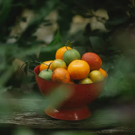 10 أنواع من الفواكه لمحاربة الإنفلونزا.. لا تتخلي عنها  (المصدر: pexels)